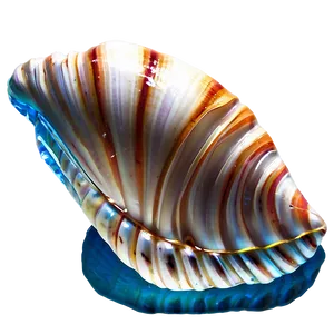 Seashell With Reflection Png Stn PNG image