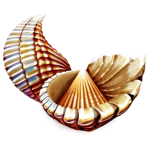 Seashell With Sea Waves PNG Gvt99 PNG