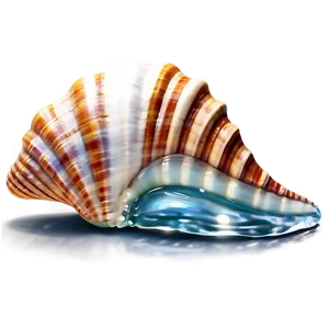 Seashell With Sea Waves PNG Kge PNG