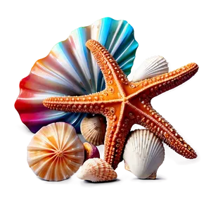 Seashells And Starfish Png 06132024 PNG image