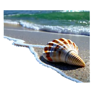 Seashells By The Shore PNG Brs