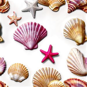 Seashells By The Shore PNG Mer PNG