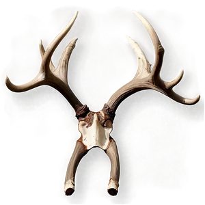 Seasonal Deer Antler PNG Hyx58 PNG