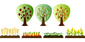 Seasonal Farm Cropsand Trees PNG image