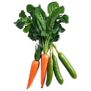 Seasonal Fruit And Veg PNG 92