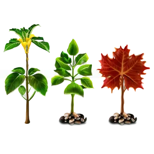 Seasonal Plants Png Oyu17 PNG image