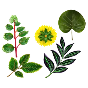 Seasonal Plants Png Rub PNG image