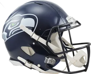 Seattle Football Team Helmet