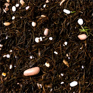 Seaweed And Salt Marsh Mulch PNG 51