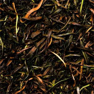 Seaweed And Salt Marsh Mulch PNG Qtd42 PNG