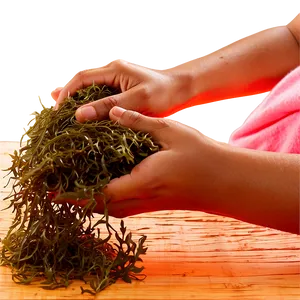 Seaweed Beauty Treatment PNG Yrq46 PNG