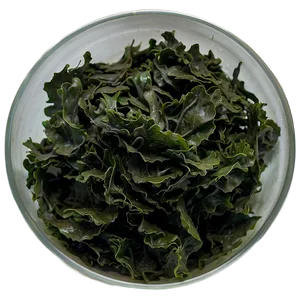 Seaweed Bioactive Compounds PNG Xyj87 PNG