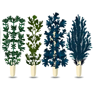 Seaweed Bundle Vector PNG 05242024