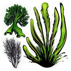 Seaweed Bundle Vector PNG Cqr