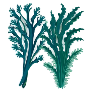 Seaweed Bundle Vector PNG Xuj49