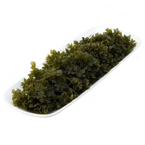 Seaweed Culinary Uses PNG 05242024 PNG