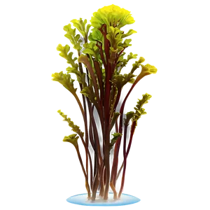 Seaweed In Aquarium Setting PNG Bsk2