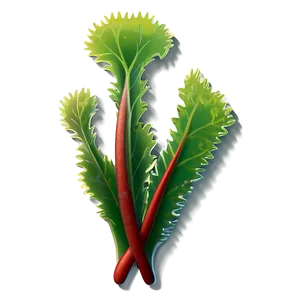 Seaweed Isolated Icon PNG 05242024
