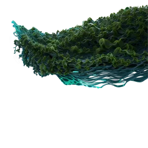 Seaweed Ocean Wave PNG Drj3