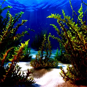 Seaweed On Ocean Floor PNG Lkx55