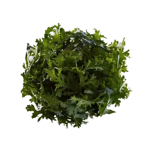 Seaweed Salad Ingredient PNG 3