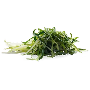 Seaweed Salad Ingredient PNG 64