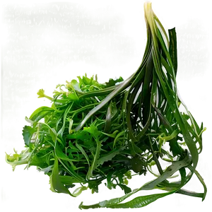 Seaweed Salad Ingredient PNG Qfy