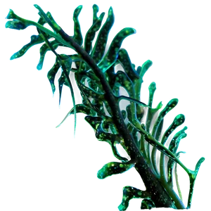 Seaweed Strand Texture PNG 71