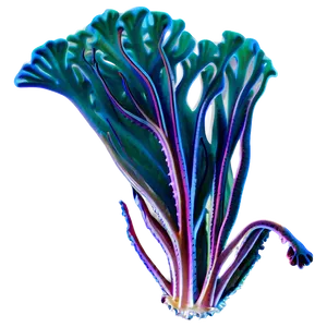 Seaweed Under Sea PNG Jnk64