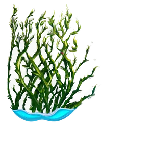 Seaweed Under Sea PNG Uma67