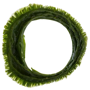 Seaweed Vegan Food PNG 94 PNG