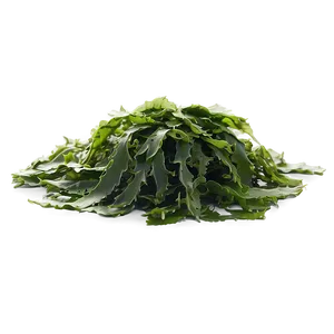 Seaweed Vegan Food PNG Ifl12 PNG