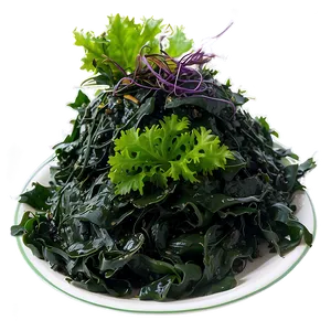 Seaweed Vegan Food PNG Ofs9 PNG