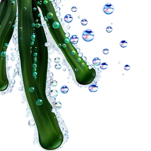 Seaweed With Bubbles PNG 05242024