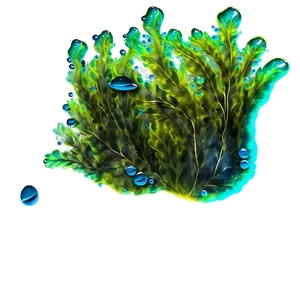 Seaweed With Bubbles PNG Lsu30