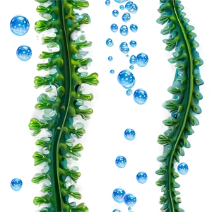 Seaweed With Bubbles PNG Rab44