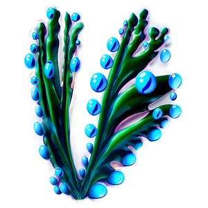 Seaweed With Bubbles PNG Yta33