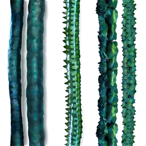 Seaweed With Fish Background PNG Bfw