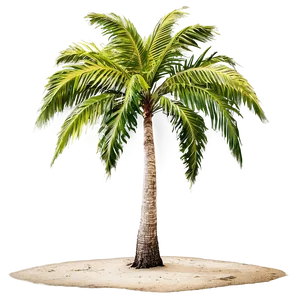 Secluded Island Trees PNG Tpo92 PNG