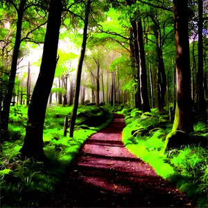 Secluded Woodland Path PNG Mks96 PNG