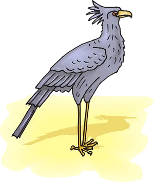 Secretary Bird Illustration PNG image