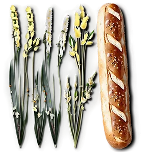 Seed Topped Baguette Png Ypl63 PNG image