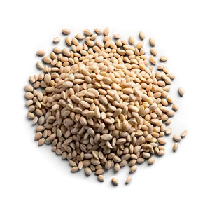 Seed Viability Test Png 06122024 PNG image