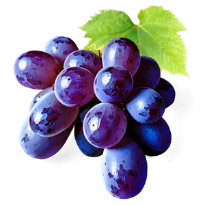 Seedless Grape Png 39 PNG image