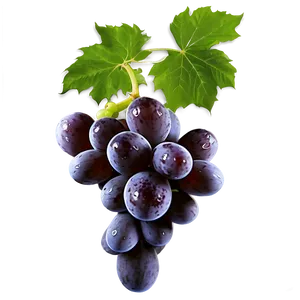 Seedless Grape PNG Vnm13