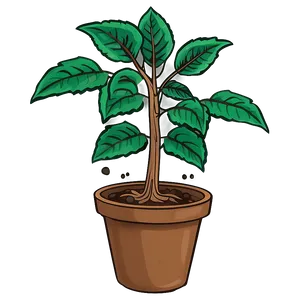 Seedling Plant Clipart Png 06272024 PNG image