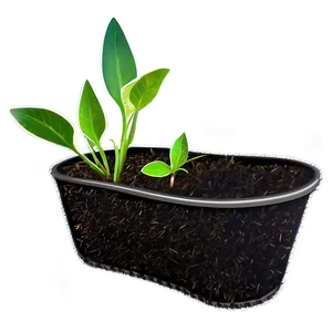 Seedling Plant Clipart Png Gvp PNG image