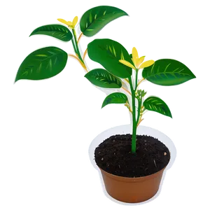 Seedling Plant PNG Fek