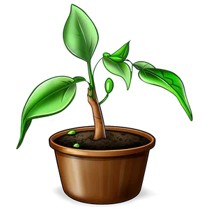 Seedling Plant PNG Gvl