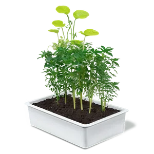 Self-watering Planter Box PNG Yvo PNG